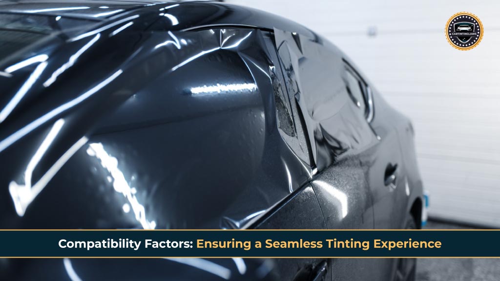 Compatibility Factors Ensuring a Seamless Tinting Experience