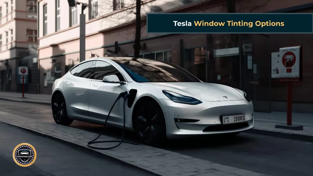 Tesla Window Tinting Options